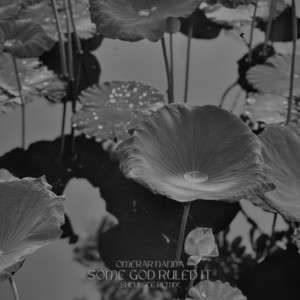 Some God Ruled It - Shellsee Extended Remix by Omerar Nanda, Shellsee