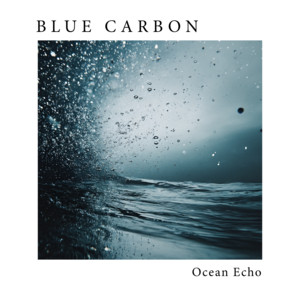 Ocean Echo by Blue Carbon