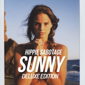 Your Soul by Hippie Sabotage