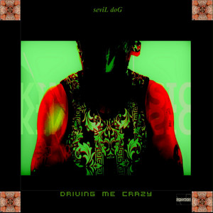 Driving Me Crazy by seviL doG