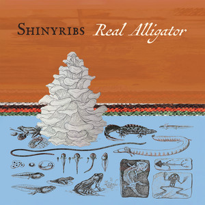 Real Alligator by Shinyribs