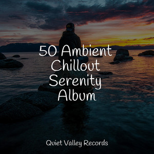 50 Ambient Chillout Serenity Album For Dogs