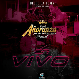 Movidita Mixe (En Vivo)