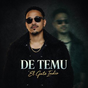 El Gato Indio - De TEMU