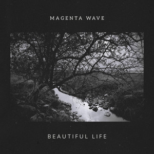 Beautiful Life by Magenta Wave