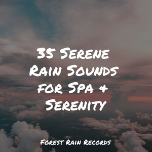 35 Serene Rain Sounds for Spa & Serenity album