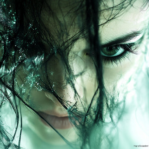 Wild Lights by Leo Martinez