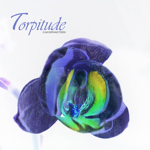 Torpitude — Cacophaction