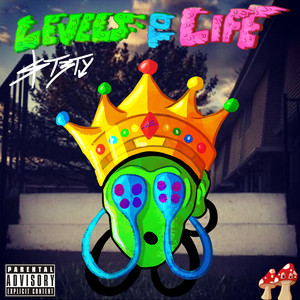 Levels To Life album