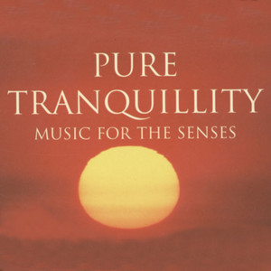The New World Orchestra & Madrugada - Miserere Mei