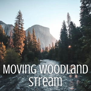Moving Woodland Stream album