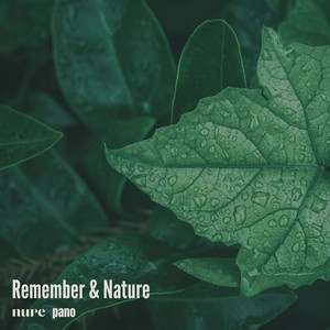 Remember & Nature by Nure, Pano
