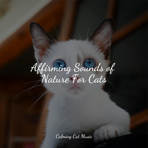 Affirming Sounds of Nature For Cats album