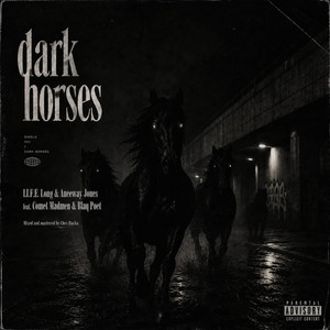 dark horses by Aneeway Jones, Life Long, Comet MadMen, Blaq Poet