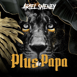 PLUS DE PAPA by Ariel Sheney
