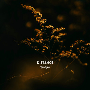 Distance by Aquilegia