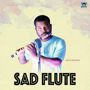 Anjan Roy - Sad Flute