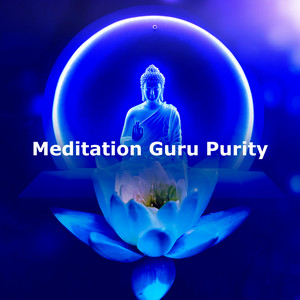 Meditation Guru Purity