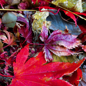 Entropy (22.12.01.10.23)