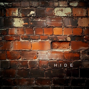 MyBee - Hide