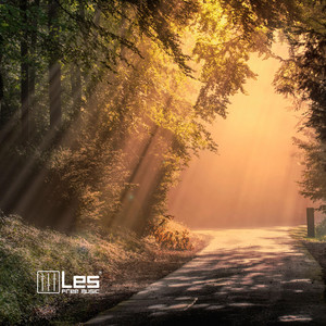 Morning Rays