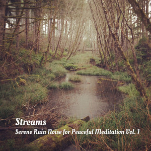Streams: Serene Rain Noise for Peaceful Meditation Vol. 1 album