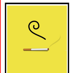 RaijinLofi - Sanji (From "One Piece")