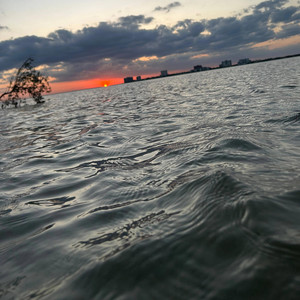 cjraw13 - Making Waves