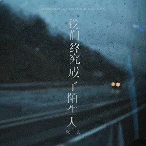 我们终究成了陌生人 - 烟嗓男版 by 张良