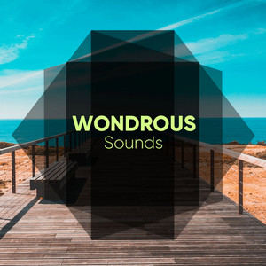 Wondrous Sounds album