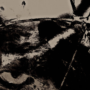 Veins by Bruxely!