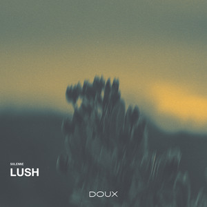 Lush by Solenne