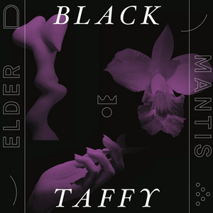 Lantern Flies in Mist by Black Taffy