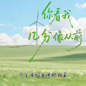 你看我几分像从前 (下辈子恰逢其时相爱) by 刘阳阳