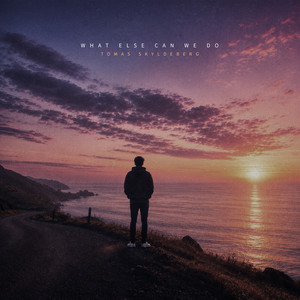 What Else Can We Do - Radio Edit by Tomas Skyldeberg