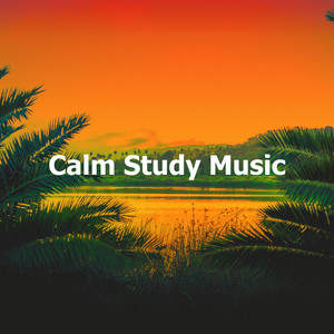 Calm Study Music