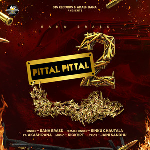 Pittal Pittal 2 by Rana Brass, Rinku Chautala
