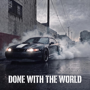 Done With The World by Quinn Johnston