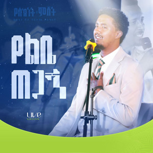 Tofik Yusuf - Ylbetegange (Acoustic & Live performance Version)