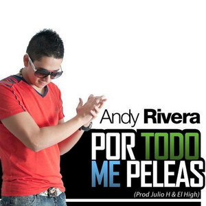 Por Todo Me Peleas by Andy Rivera