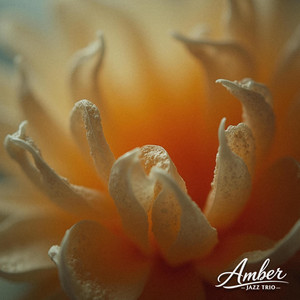 Smoked Glass by Amber Jazz Trio