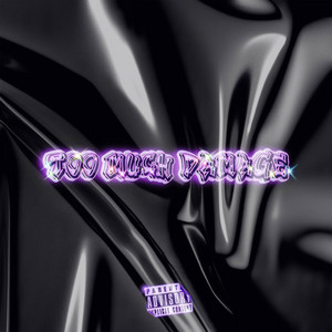 Portada de Too Much Damage