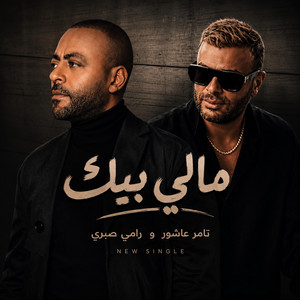 تامر عاشور و رامي صبري - مالي بيك by Fidro Records