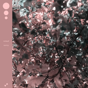 noteaf — Sunny