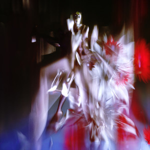 Polygonia — Ceaseless Motion (2026)