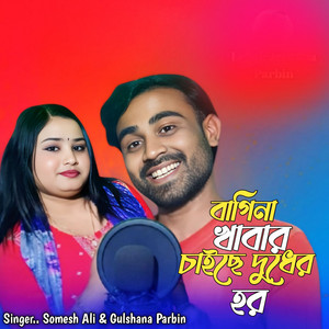 Somesh Ali & Gulshana Parbin - Bagina Khabar Chaiche Duder Shor