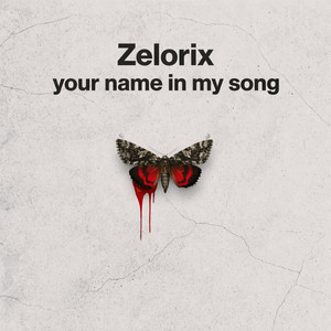 Your Name In My Song by Zelorix