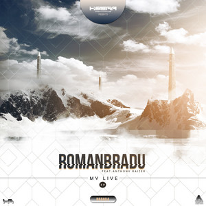 Romanbradu cover