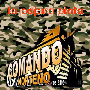 Tormento ingrato