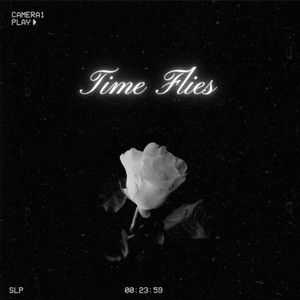 Zwarte steen - Time Flies